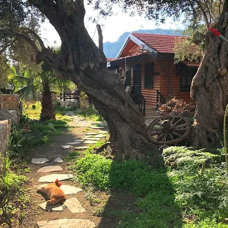 Botanik Bungalov Casa vacanze