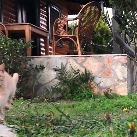 Casa vacanze Botanik Bungalov