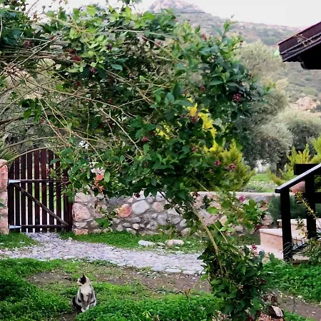 Botanik Bungalov Casa vacanze *