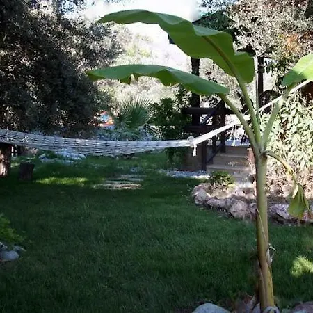 Botanik Bungalov Casa vacanze