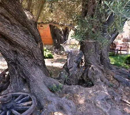 Botanik Bungalov 펜션